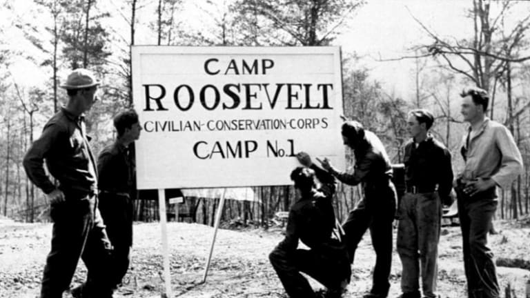 Roosevelt's Pine Tree Army