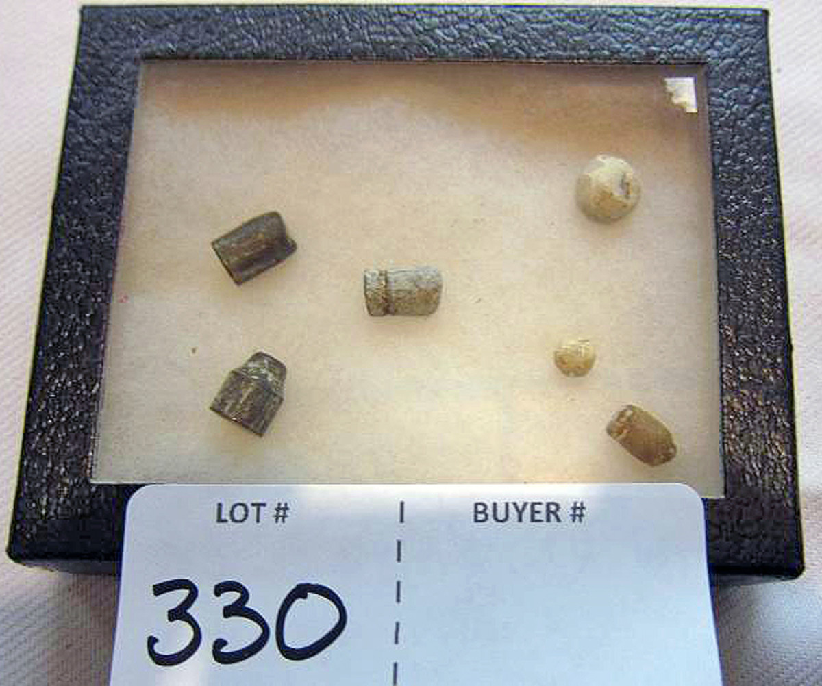 Lot # 330. Civil War bullets in small display case, half dozen.