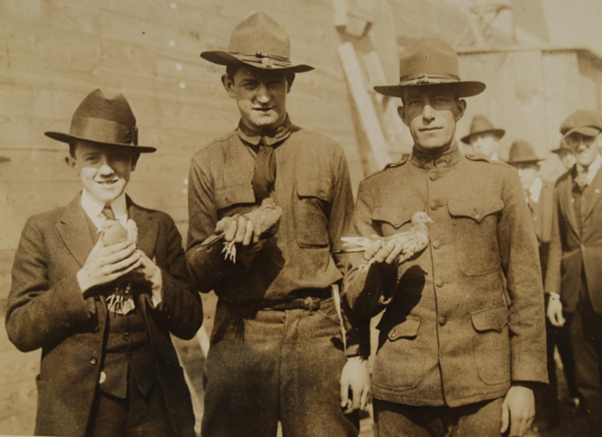  During WWI, the U.S. Army Signal Corps received a boost in birds and training from civilian pigeon racing clubs. John Adams-Graf collection