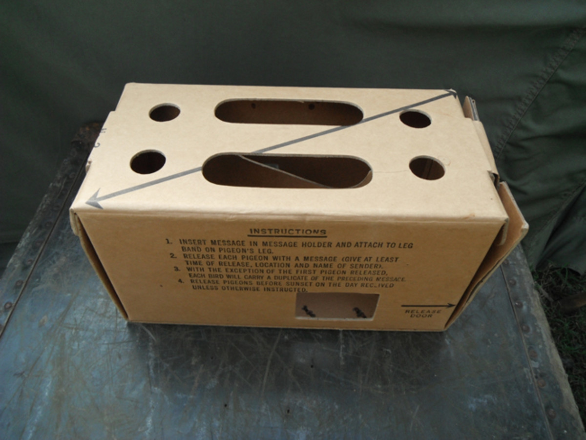  A cardboard box was also used to briefly hold two pigeons. The sender was reminded to release both birds with the same message. This box did not have space for food and water.