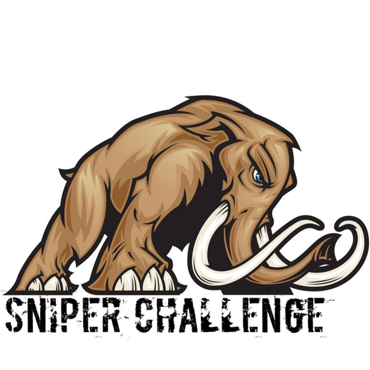 Sniper Challenge