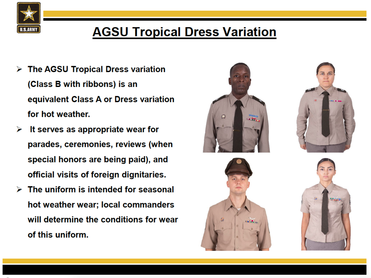 Army Regulation 670-1: Wear and Appearance of Army Uniforms and Insignia - wide 4