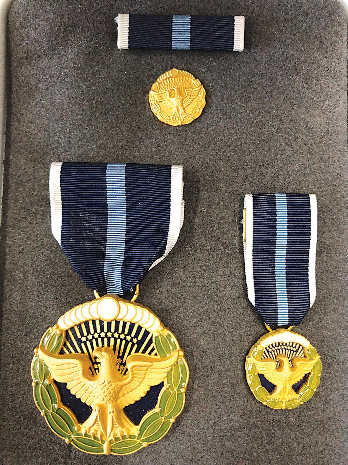The Presidential Citizens Medal ribbon consists of white (2mm), dark blue (12mm), light blue center stripe (5mm), dark blue (12mm) and white (2mm) edge stripes on a ring suspension.
