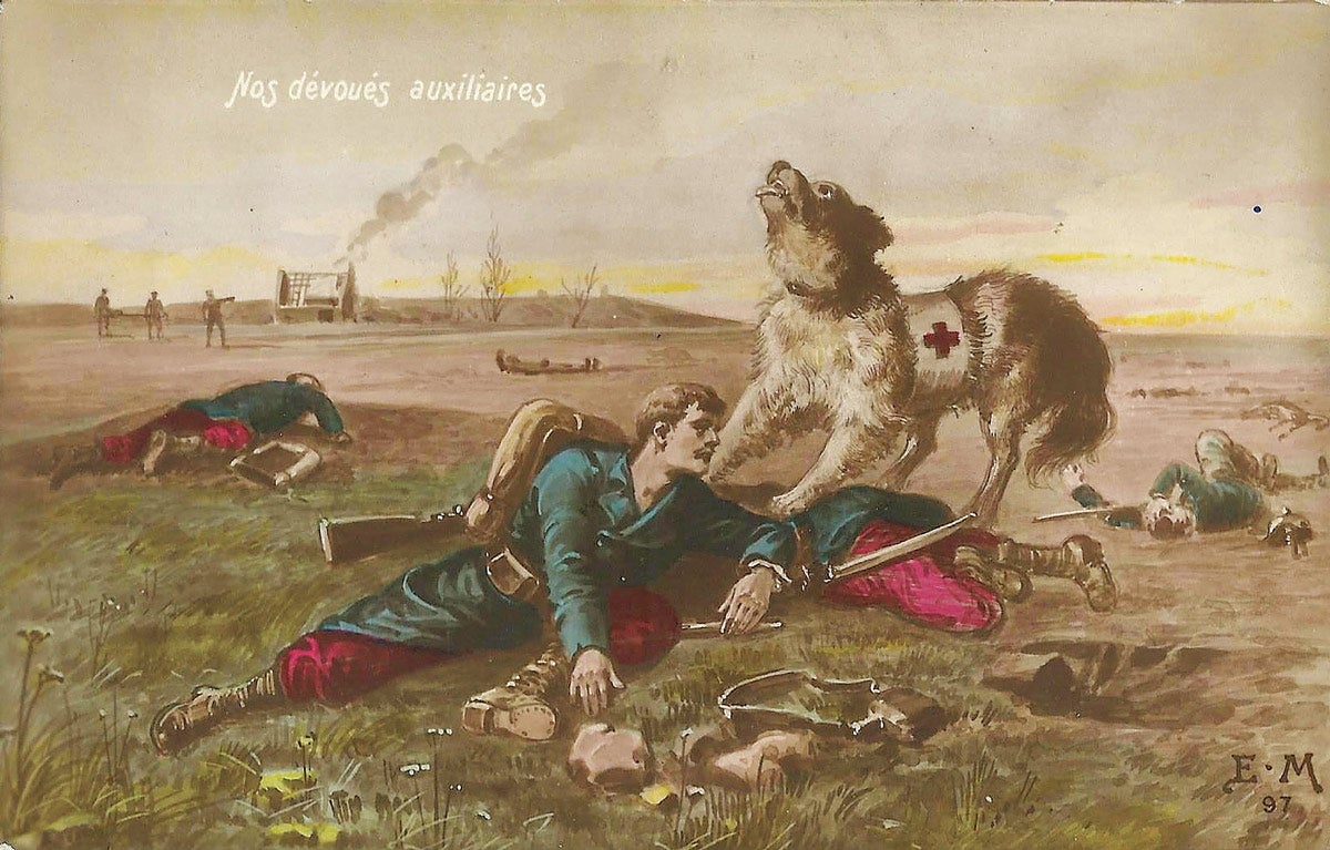 A French postcard reads “Our Devoted Auxiliaries” and features a dog helping rescue a fallen soldier.