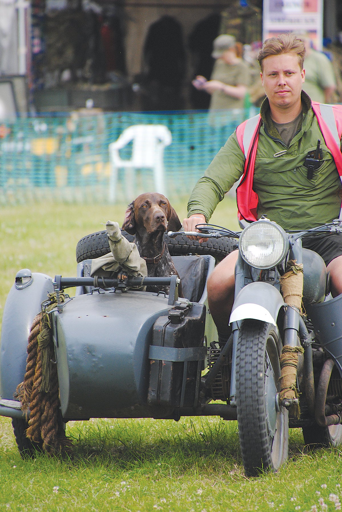 Dogs often enjoy riding along with their owners at mobility displays. This fellow looked right at home taking a spin in a motorcycle sidecar.