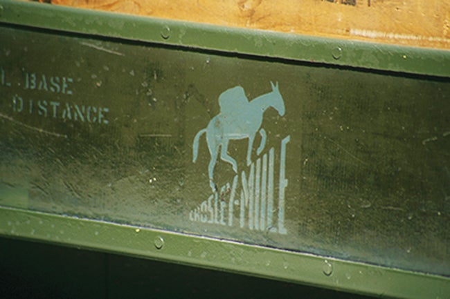 image-placeholder-title.jpg