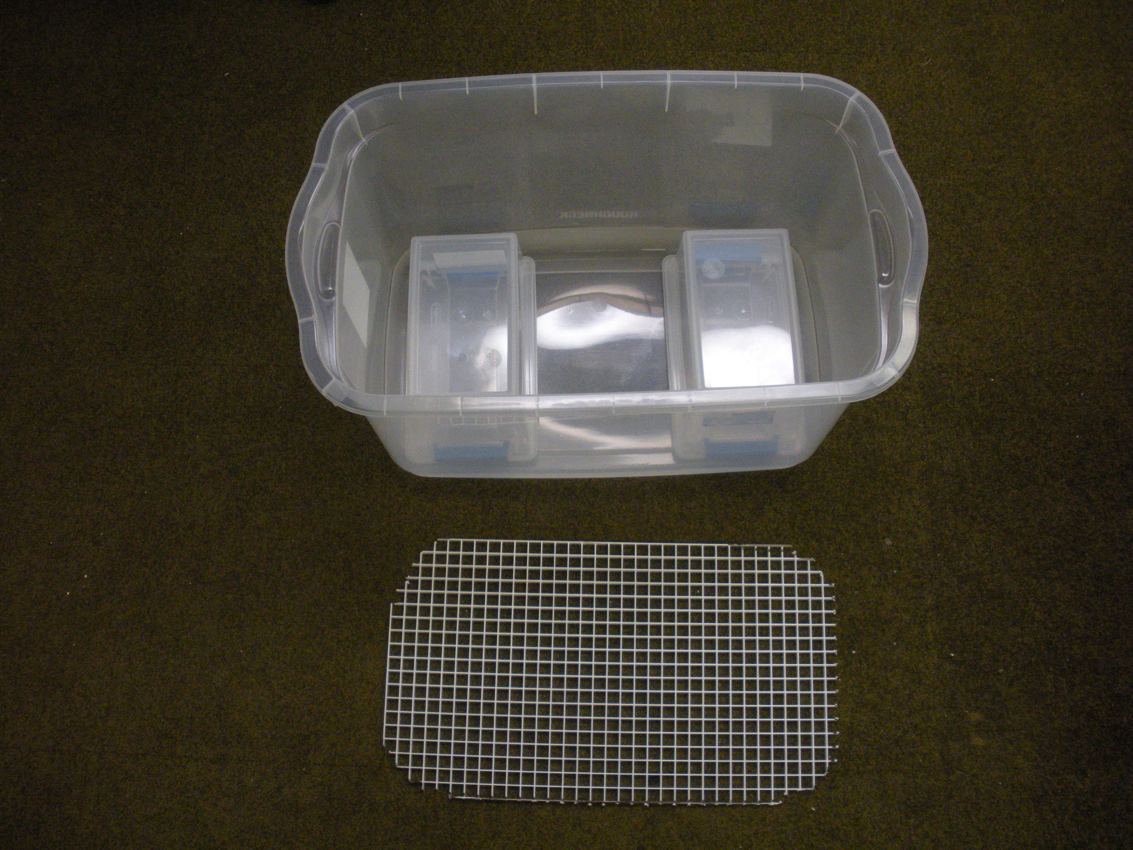 dscn5181.jpg