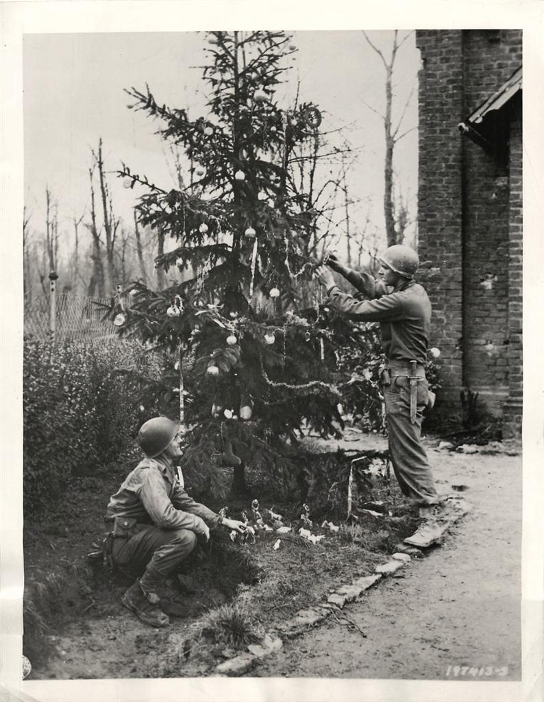 christmas-tree-658462575_o.jpg