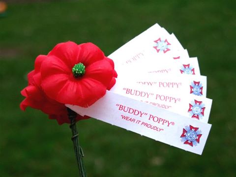 buddy-poppy.jpg