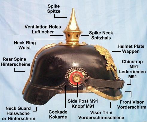 spiked-anatomy.jpg