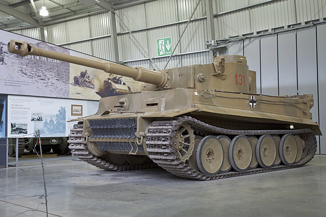 tiger.jpg