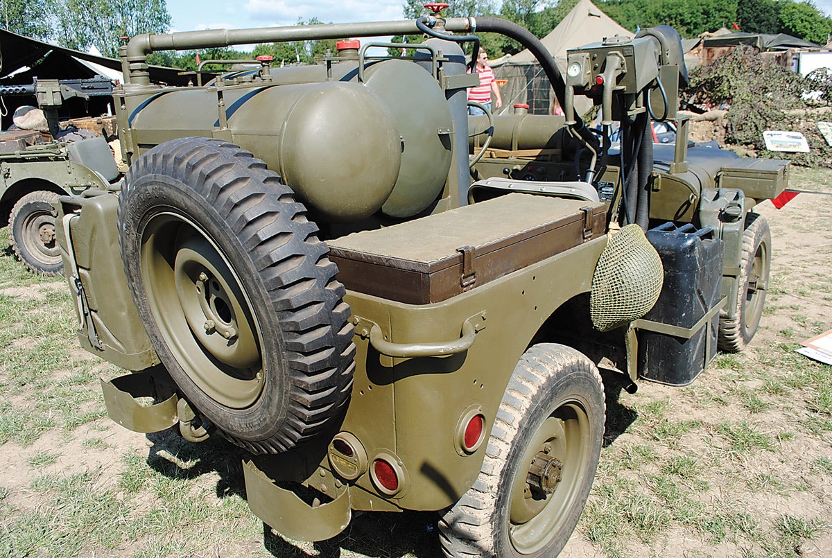 wasp-5.jpg