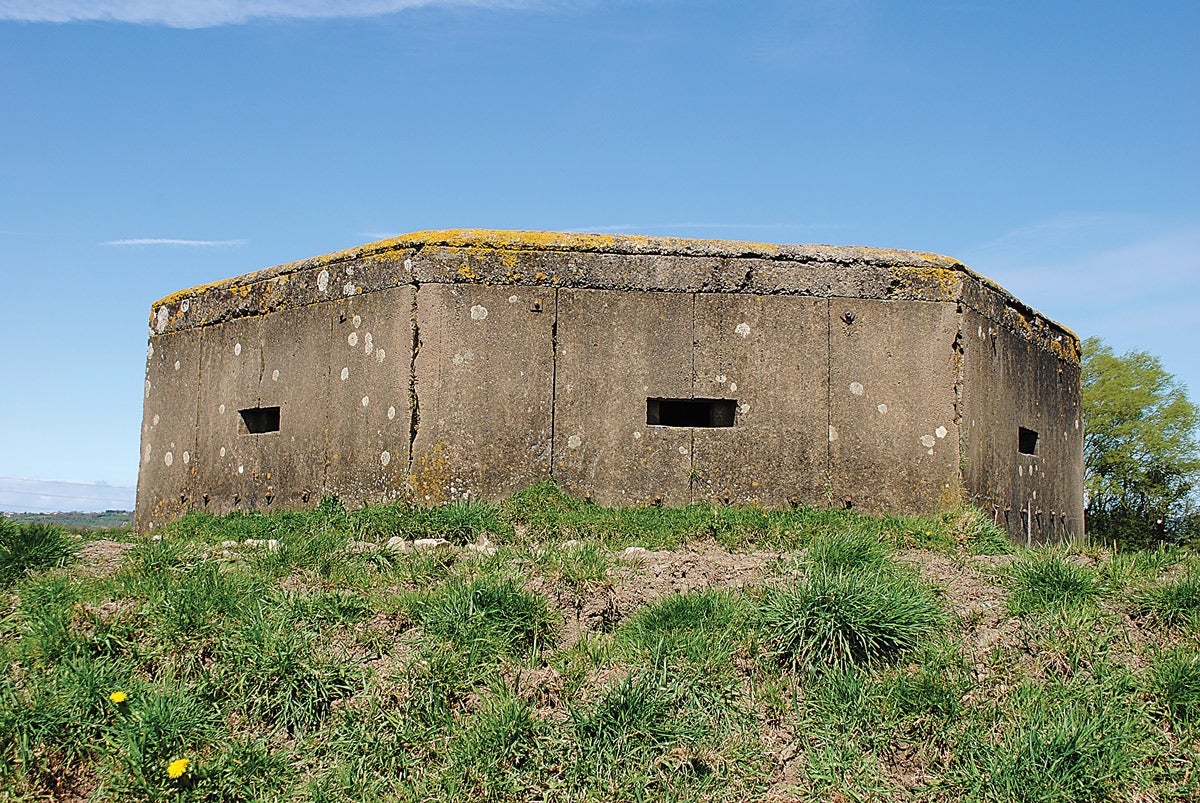 db-9.jpg